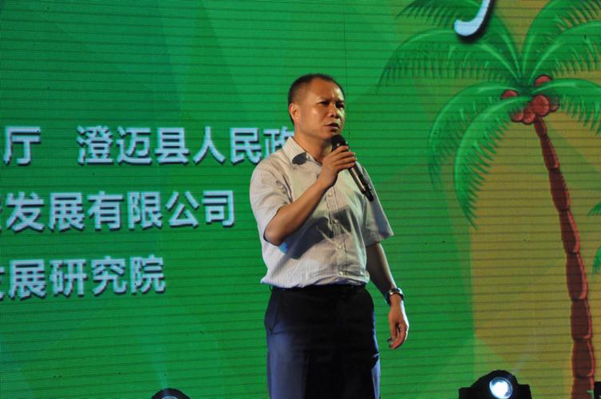 百彩东企业服务